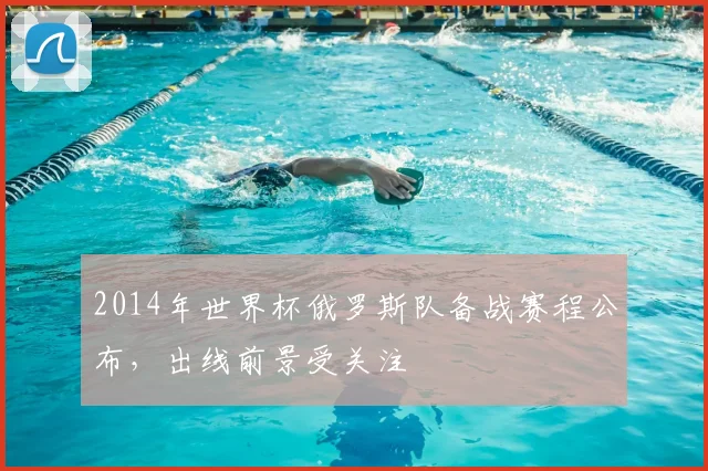 2014年世界杯俄罗斯队备战赛程公布，出线前景受关注