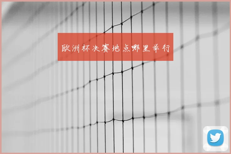 欧洲杯决赛地点哪里举行